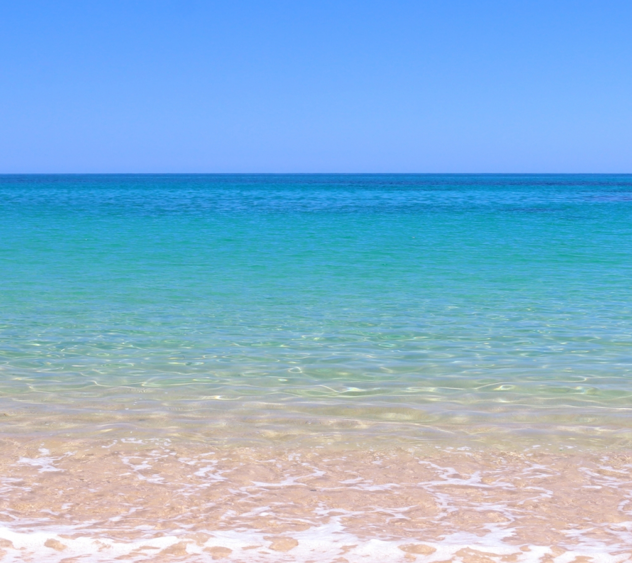 海