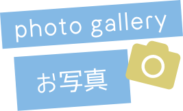 photo gallery