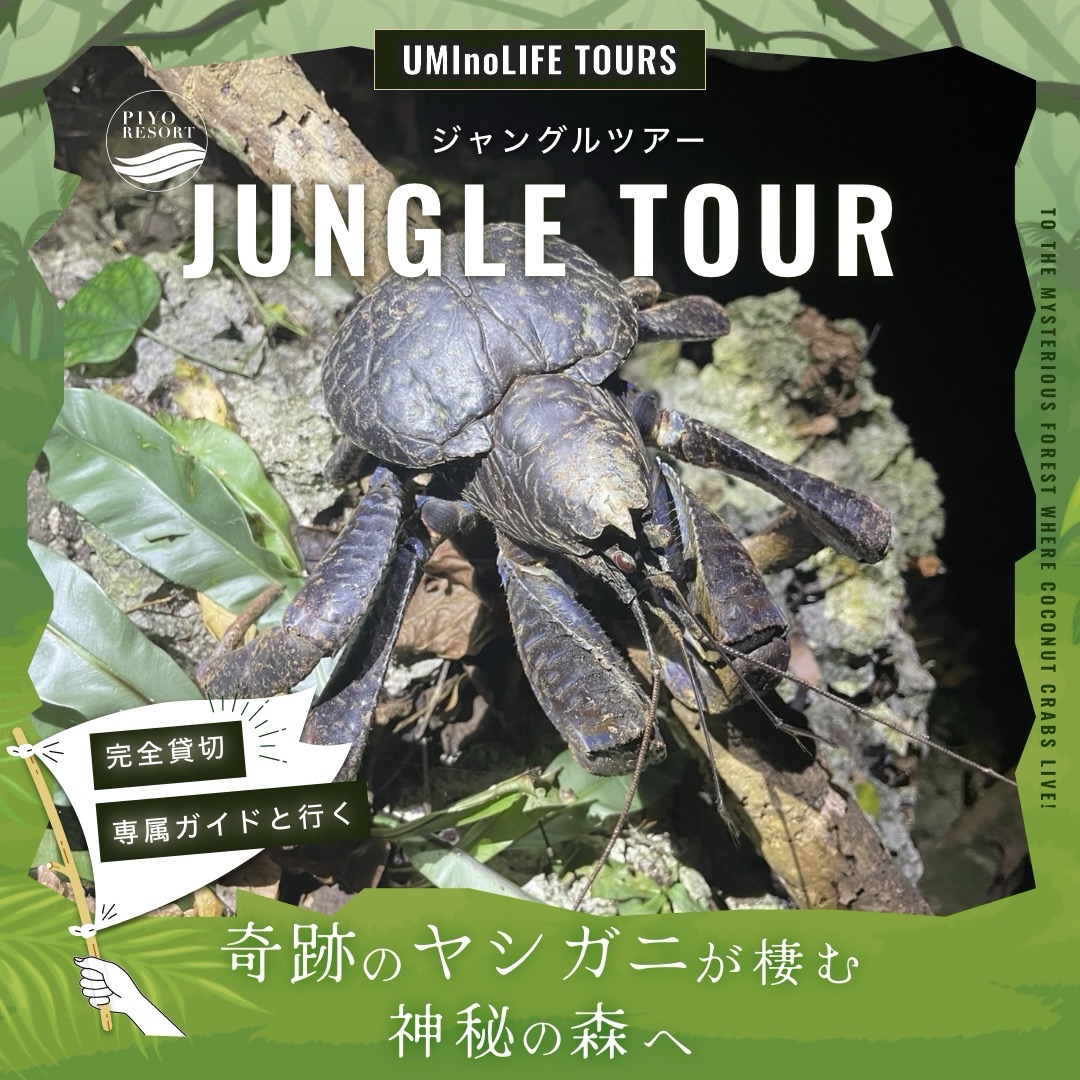 宮古島プライベートツアー「Jungle Tour」のイメージ画像