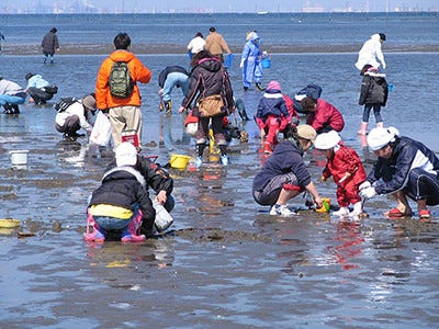 富津海岸潮干狩場の紹介画像2