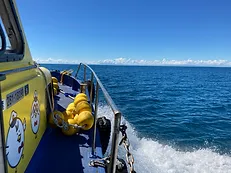 【館山・沖ノ島】イルカといっしょにクルーズ　ちょこっと海散歩の紹介画像2