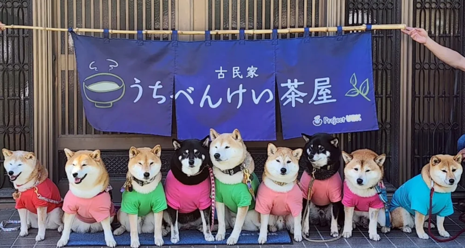 うちべんけい茶屋の紹介画像