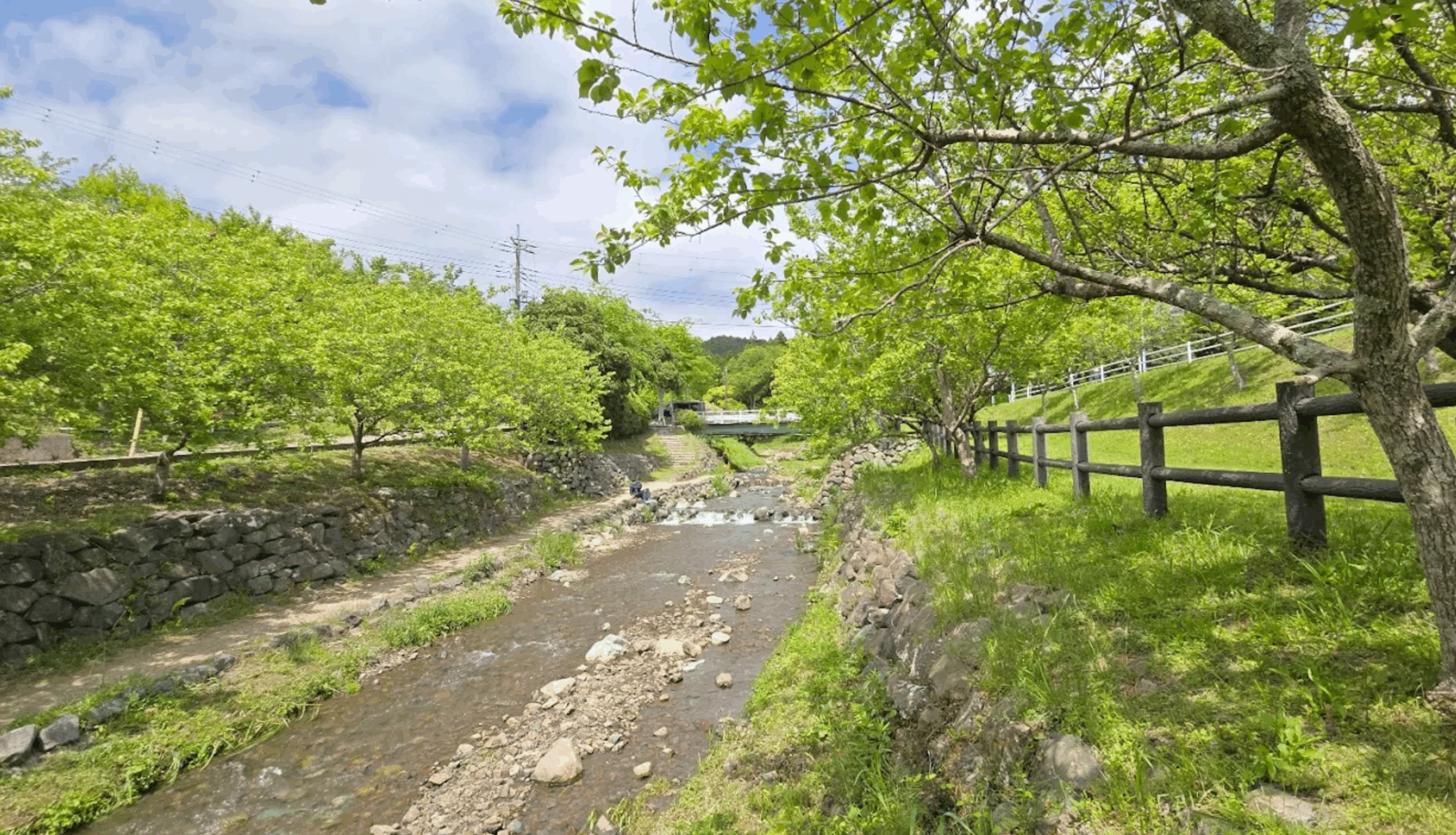 千葉県　酪農のさとの紹介画像