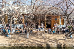 GW貸別荘で過ごす千葉の春旅！海都-kaito- TOKYOBAYで味わう絶品グルメと季節イベント