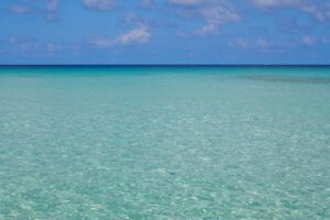 【女子旅・カップル向け】千倉・館山の絶品グルメ8選｜夏の南房総を満喫しよう