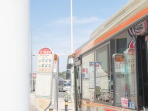 【ファミリー向け】館山でシュノーケリング！子連れにおすすめの海遊びスポット5選