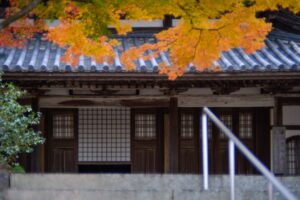 【カップル向け】南房総・館山エリアの秋グルメ7選｜絶景海鮮からカフェまで