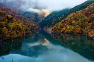 【カップル向け】南房総・鴨川で焚き火を楽しむ絶景貸別荘｜蒼望楼完全ガイド