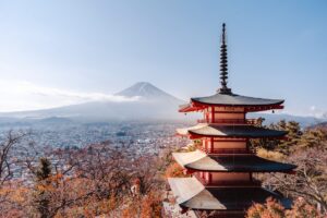 【カップル・ファミリー向け】房総さんまランチ2026秋｜千倉・館山エリアのおすすめグルメ5選