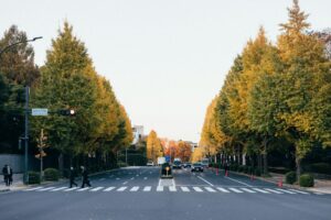 【カップル・ファミリー向け】館山・南房総の秋イベント2026年完全ガイド