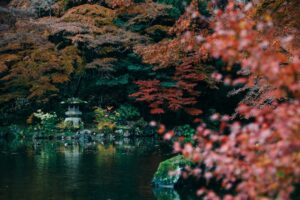 【大人旅・カップル向け】南房総・白浜エリアで地酒と絶品グルメを楽しむ秋の旅