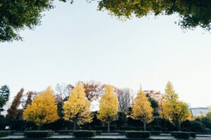 【子連れ・ファミリー向け】千葉・南房総の秋の収穫祭＆イベントガイド2026｜千倉滞在のおすすめプランも